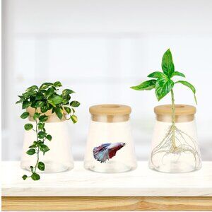 Plant Propagation Vase X 3 Hydroponic Aquaponic Beta Fish NWT